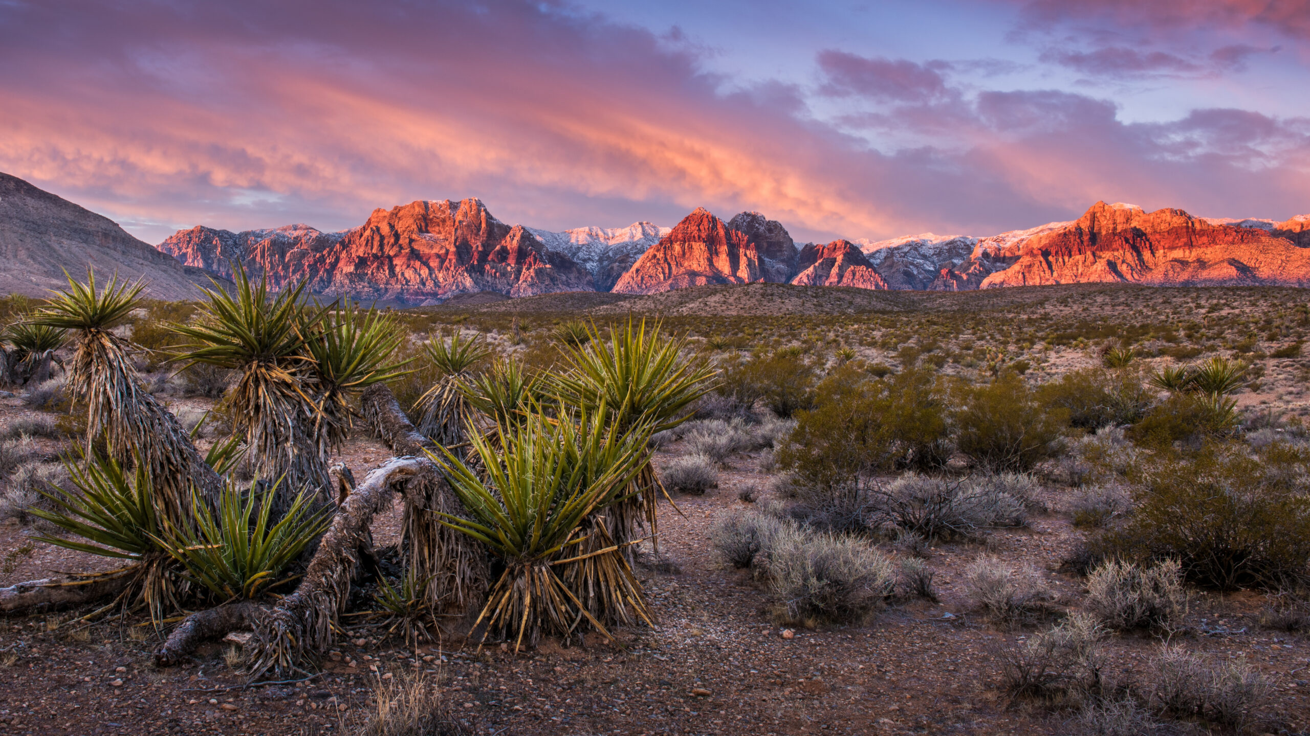Red Rock